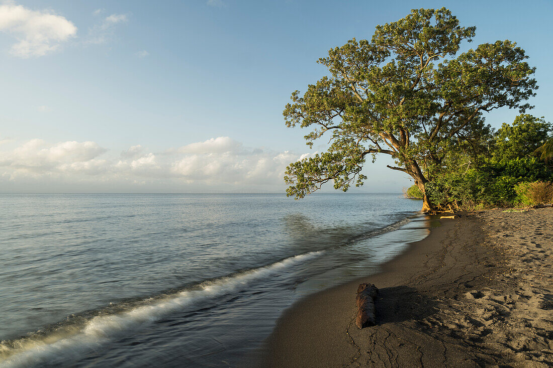 Beach at dawn, Ometepe Island, Rivas State, Nicaragua, Central America