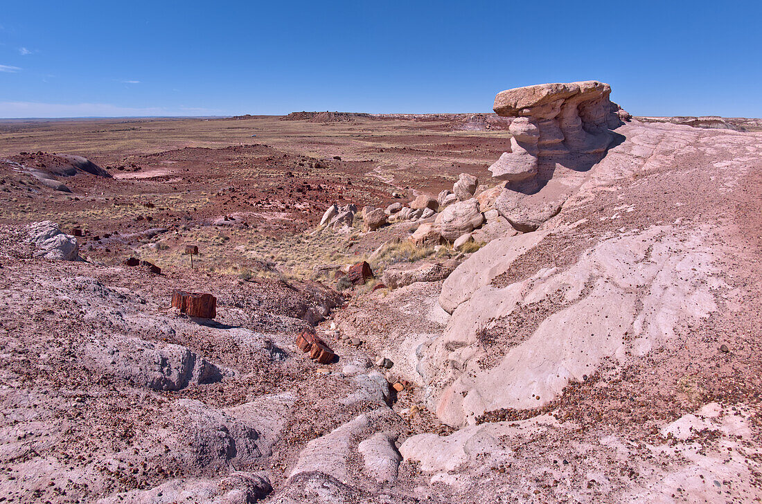 A scenic overlook on the west side of the Giant Logs Trail at Petrified Forest National Park, Arizona, United States of America, North America