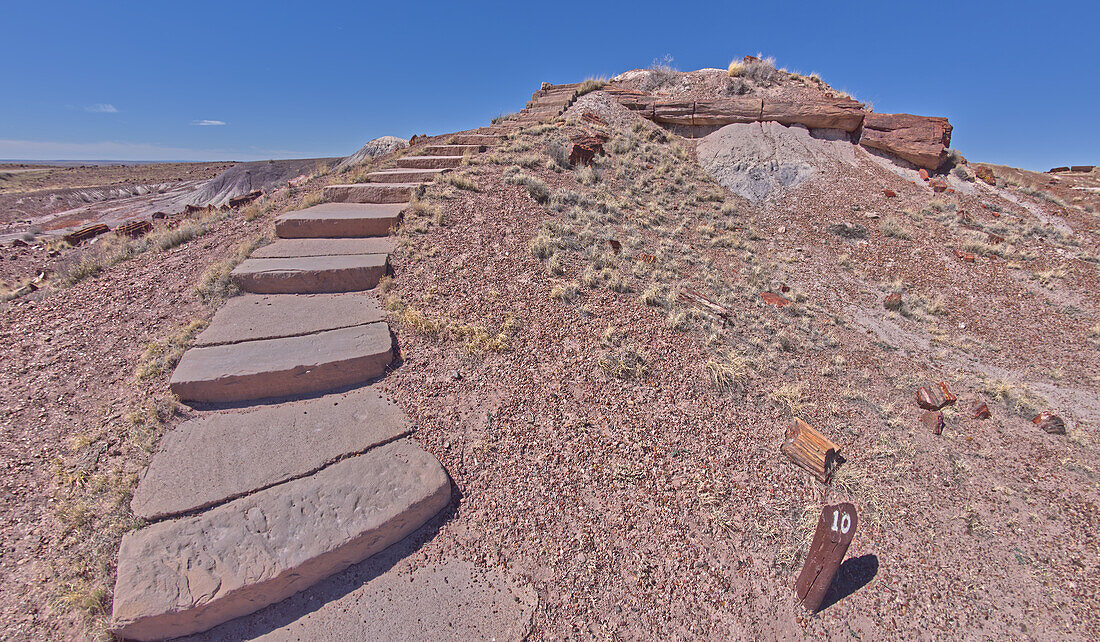 Stufen entlang des Giant Logs Trail, die zu einem Aussichtspunkt im Petrified Forest National Park führen, Arizona, Vereinigte Staaten von Amerika, Nordamerika