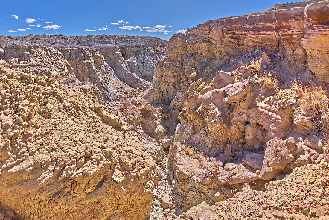 A deep canyon eroded thru the hills of purple and gray bentonite clay near Hamilili Point on the south end of Petrified Forest National Park, Arizona, United States of America, North America