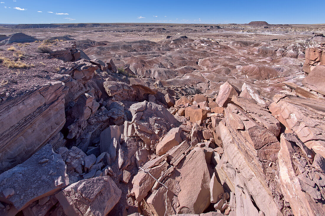 Purple badlands of bentonite near Hamilili Point on the south end of Petrified Forest National Park, Arizona, United States of America, North America