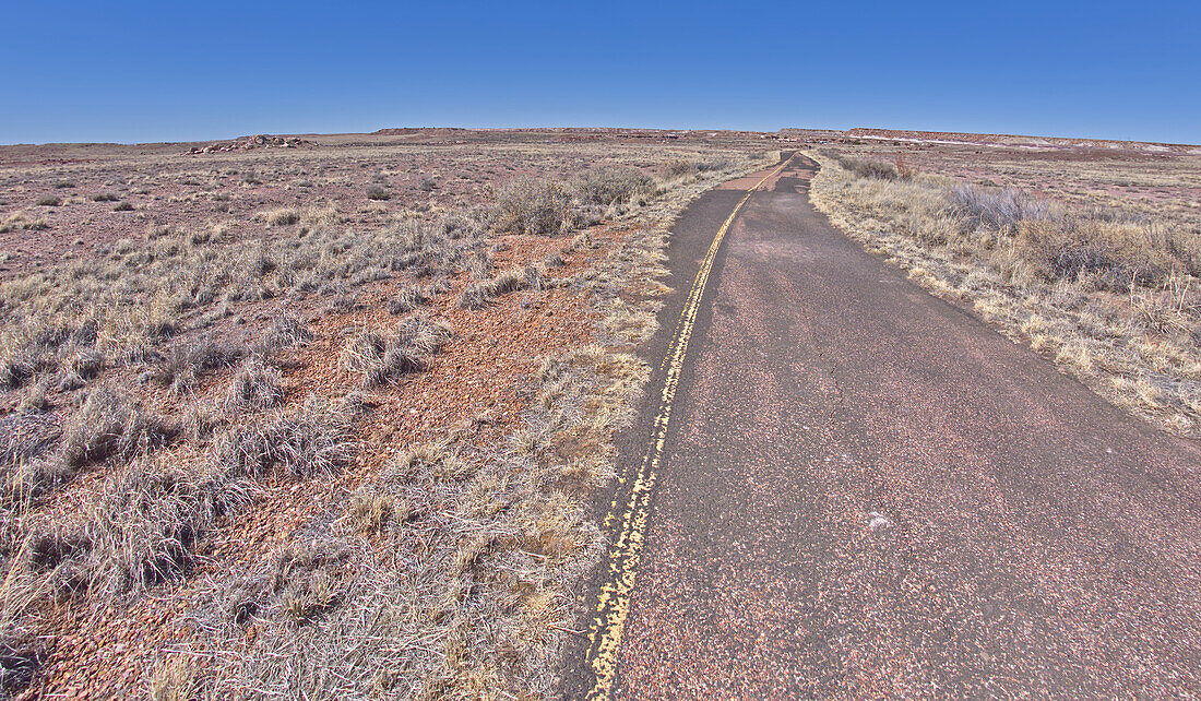 Der gepflasterte Weg, der früher eine alte Straße war, führt zum Long Logs Trail und zum Achat-Haus im Petrified Forest National Park, Arizona, Vereinigte Staaten von Amerika, Nordamerika