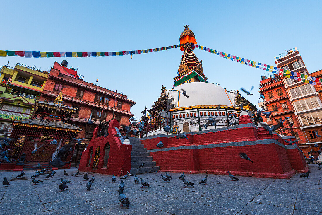 Bunte Gebäude rund um eine große Stupa mit vielen Tauben in Thamel, Kathmandu, Nepal, Asien