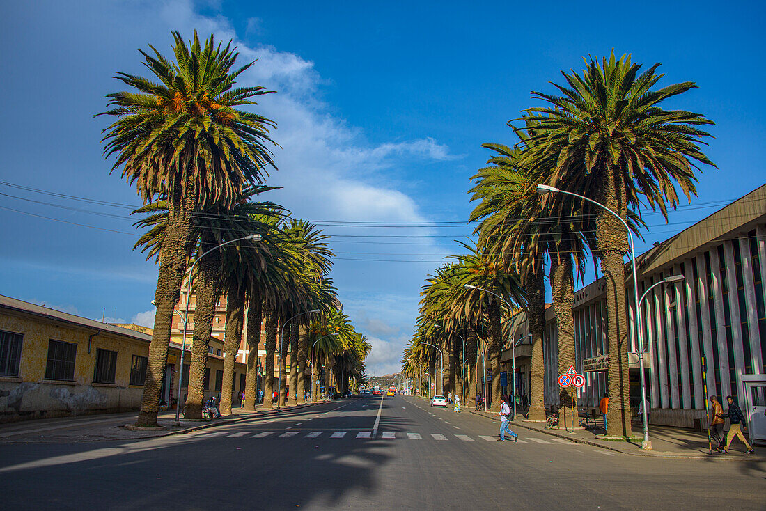 Palm lined avenue in Asmara, Eritrea, Africa