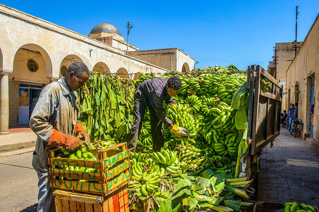 Männer tragen Bananen von einem Lastwagen, Asmara, Eritrea, Afrika