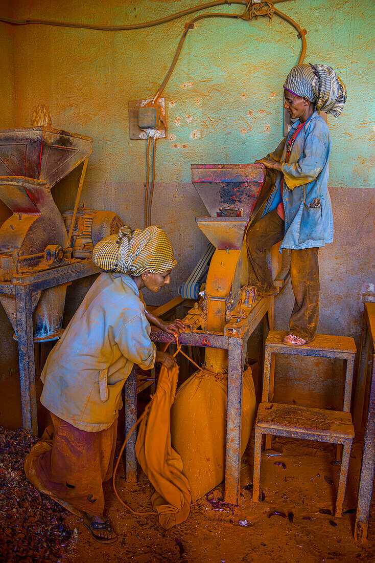 Frauen arbeiten in einer Gewürzfabrik für roten Pfeffer aus Berbere auf dem Medebar-Markt, Asmara, Eritrea, Afrika