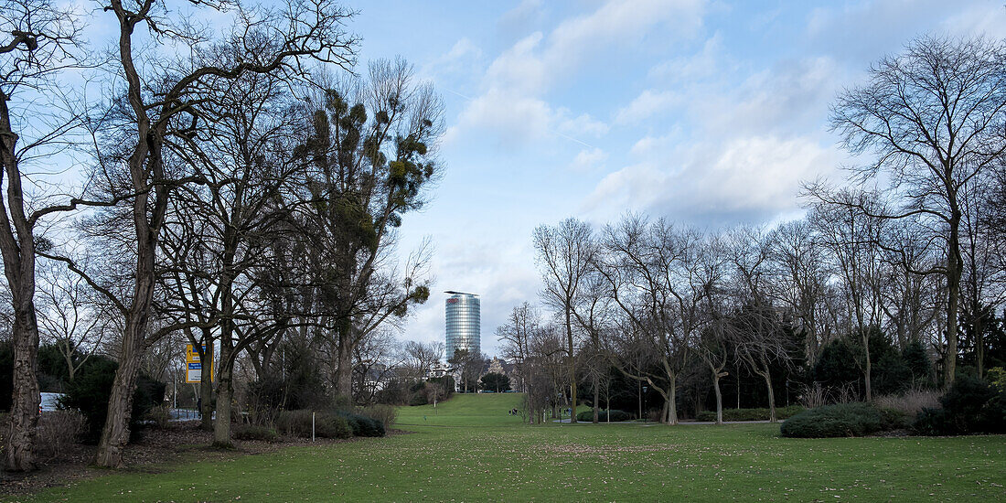 Blick auf den Hofgarten, den zentralen Park von Düsseldorf, im Stadtzentrum gelegen, in den Stadtteilen Stadtmitte und Pempelfort, Düsseldorf, Nordrhein-Westfalen, Deutschland, Europa