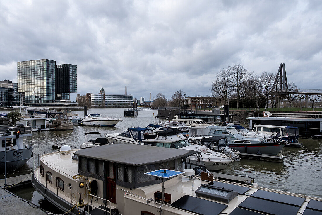 Blick auf den Düsseldorfer Hafen, ein Stadtteil von Düsseldorf, Deutschland, am Rhein gelegen und Standort der Docks der Stadt, Düsseldorf, Nordrhein-Westfalen, Deutschland, Europa