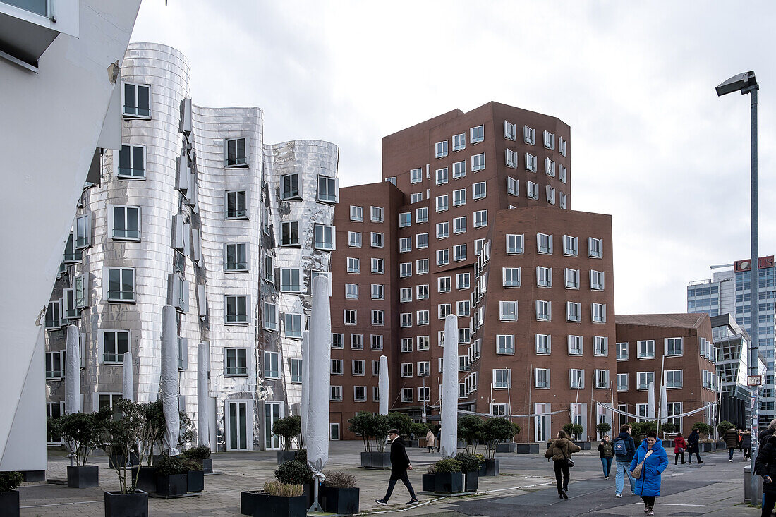 Blick auf den Neuen Zollhof, benannt nach einer ehemaligen Zollanlage, ein Gebäudeensemble im Medienhafen und markantes Wahrzeichen des Düsseldorfer Hafens, Teil des sanierten Düsseldorfer Hafens, Düsseldorf, Nordrhein-Westfalen, Deutschland, Europa