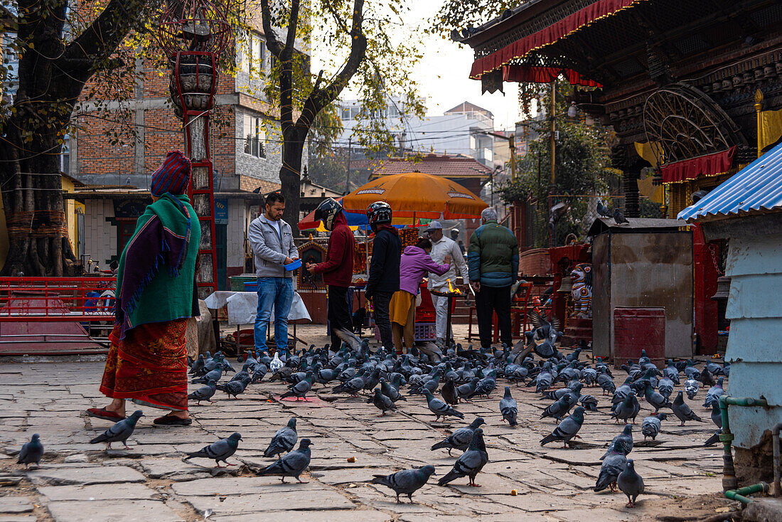 Devotees and prayers in front of a Hindu temple with religious people and pigeons, Kathmandu, Nepal, Asia