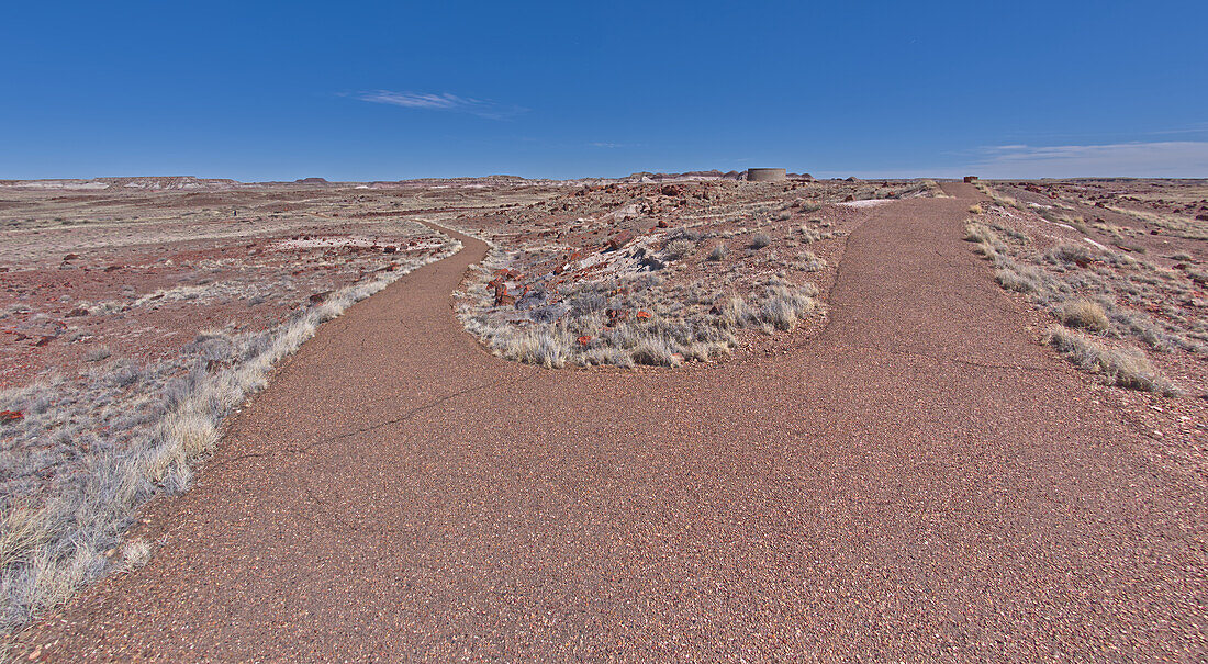 Eine Weggabelung auf dem Weg zum historischen Achat-Haus im Petrified Forest National Park, Arizona, Vereinigte Staaten von Amerika, Nordamerika