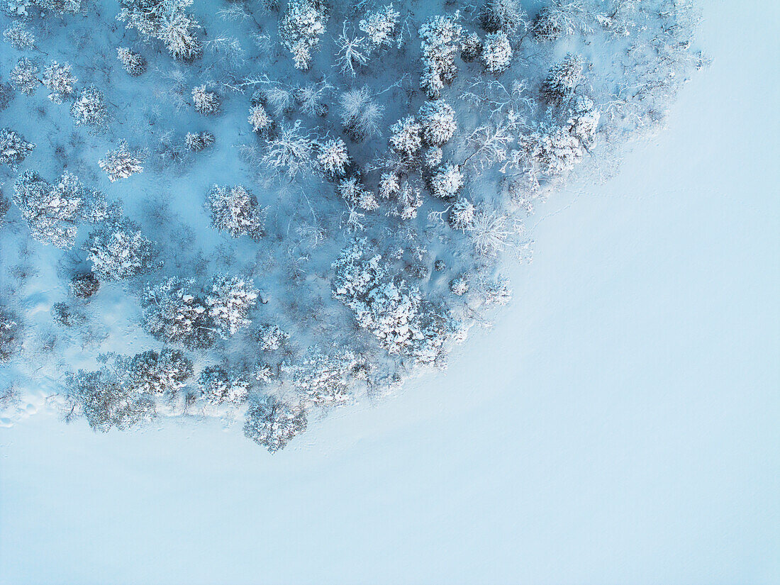 Aerial vertical view of a snow-covered lake with a trees, Muonio, Finland, Europe