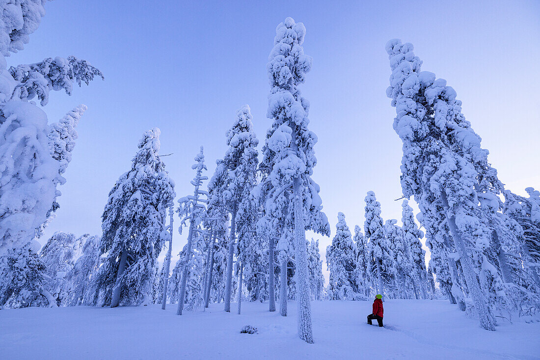 Ein Mädchen bewundert die Schönheit der verschneiten Wälder an einem kalten Wintertag, Rovaniemi, Finnland, Europa