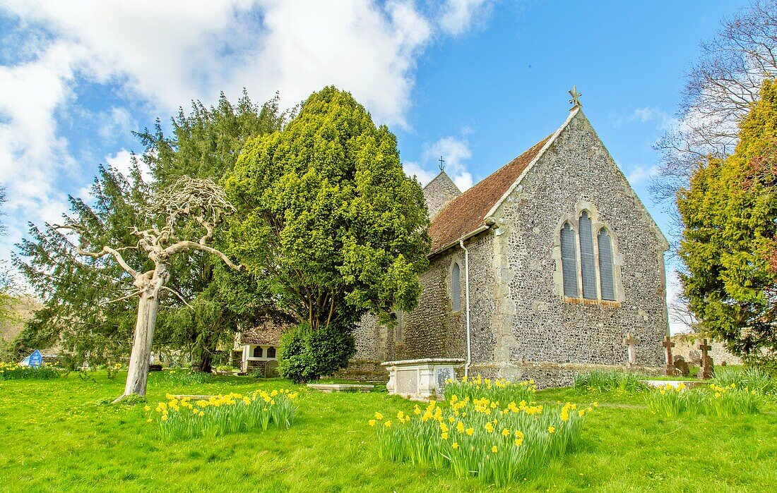 St. Andrew's Church, Jevington, East Sussex, England, United Kingdom, Europe