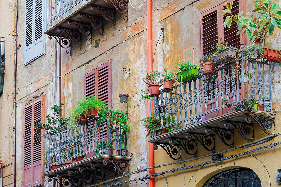 Traditionelle Architektur von Häusern mit Eisenbalkonen und Blumen, hölzernen Fensterläden und leicht verfallenen Fassaden, Palermo, Sizilien, Italien, Mittelmeerraum, Europa