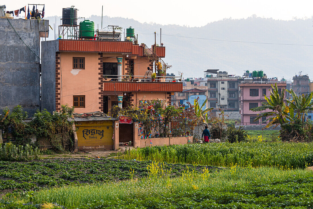 Bunte Häuser und landwirtschaftliche Felder, Nepal, Asien