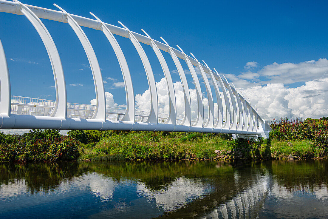 River and unique architecture of Te Rewa Rewa Bridge in New Plymouth, North Island, New Zealand, Pacific