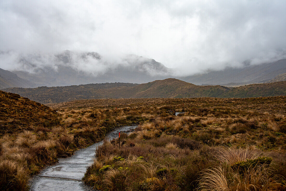 Blick entlang des Wanderweges des Tongariro Alpine Crossing, der durch braune Buschfelder führt, Nordinsel, Neuseeland, Pazifik