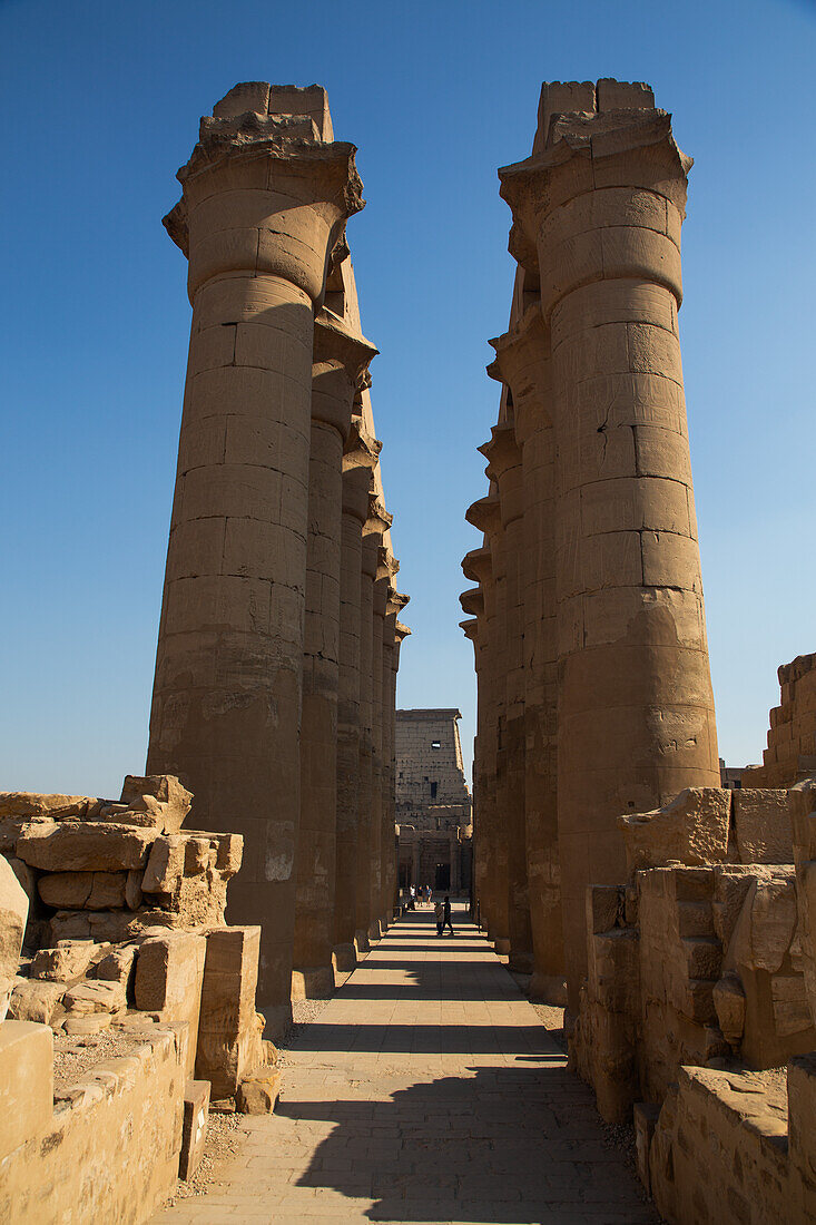 Colonnade of Amenhotep III, Luxor Temple, UNESCO World Heritage Site, Luxor, Egypt, North Africa, Africa