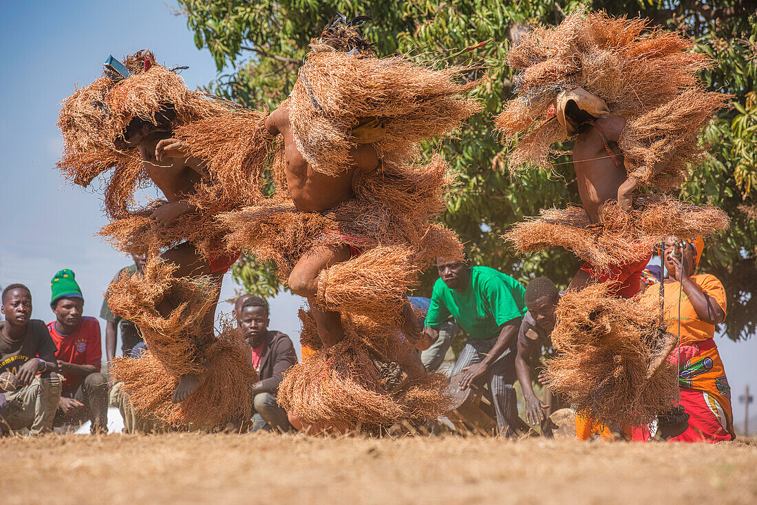 Masked dancers, The Kulamba Traditional Ceremony of the Chewa people from Zambia, Mozambique and Malawi, held annually on the last Saturday in August to pay homage to their Chief Kalonga Gaia Uni, held near Katete, Eastern Province, Zambia, Africa