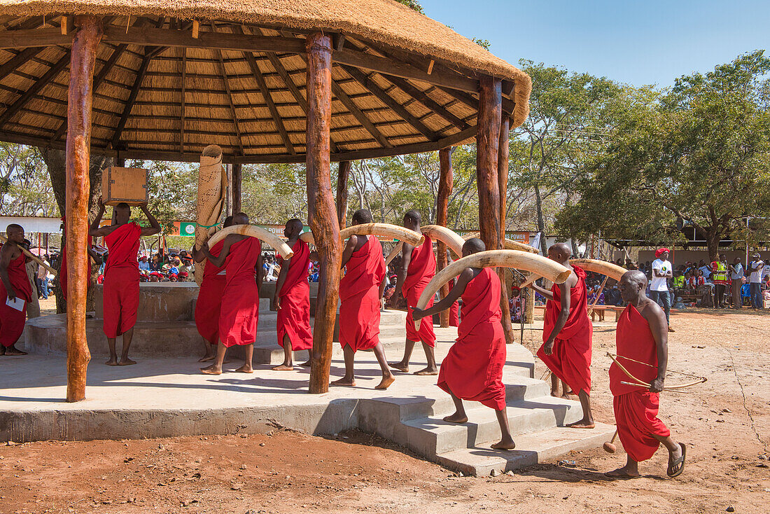 Ivory and other possessions of the Paramount Chief Kalonga Gaia Uni are put in place for the Kulamba Ceremony, Katete, Eastern Province, Zambia, Africa