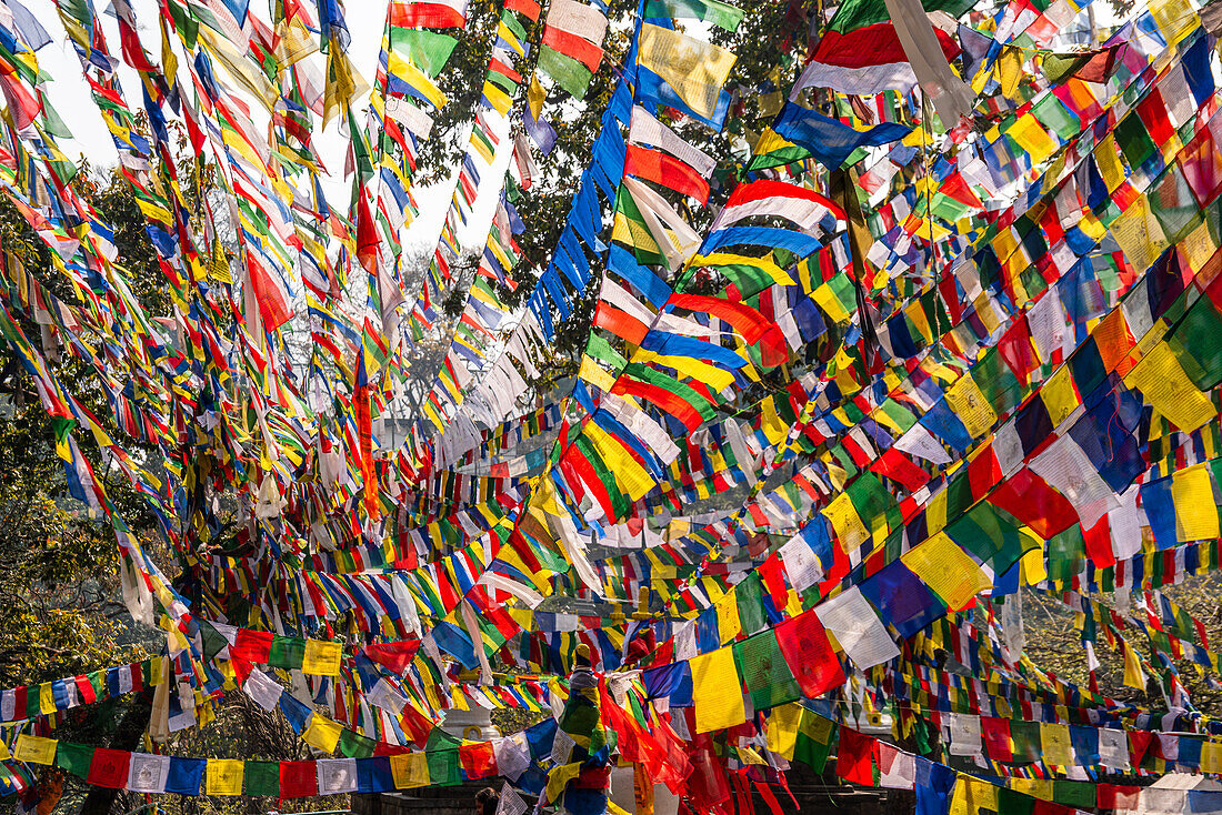 Mit bunten tibetischen Gebetsfahnen bedeckter Rahmen, buddhistische Gebetsfahnen im Wind, Kathmandu, Nepal, Asien