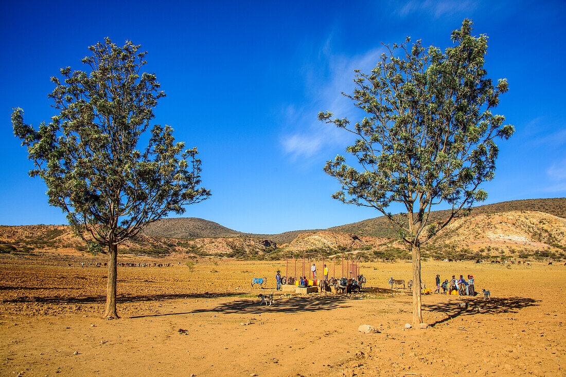 Waterhole along the road from Asmara to Qohaito, Eritrea, Africa