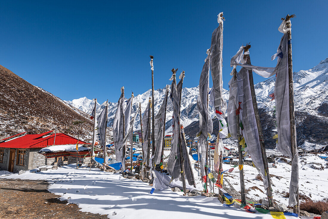 Weiße Gebetsfahnen im Wind, Kyanjin Gompa, Lang Tang Valley Trek, Himalaya, Nepal, Asien