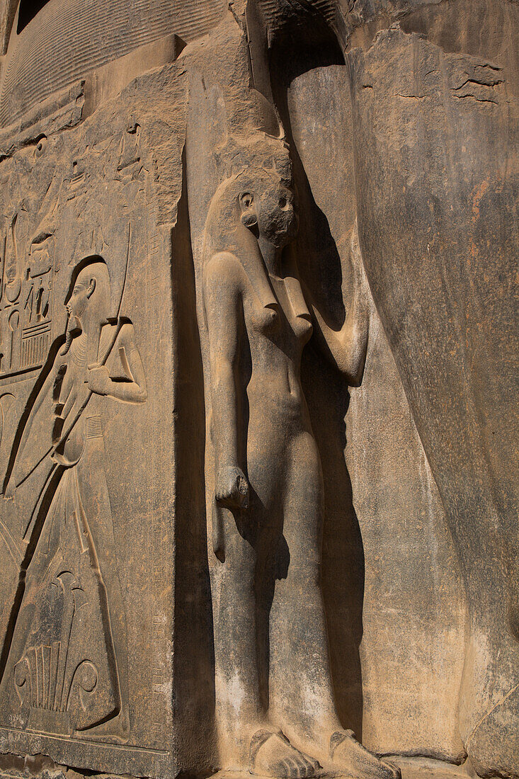 Statue der Nefertari, Luxor-Tempel, UNESCO-Welterbestätte, Luxor, Ägypten, Nordafrika, Afrika