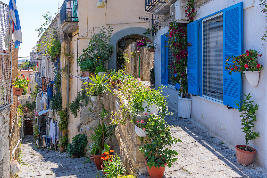 Blick auf eine bunte, enge Straße, Haus mit blauen Fensterläden und Topfpflanzen, Neapel, Kampanien, Italien, Europa