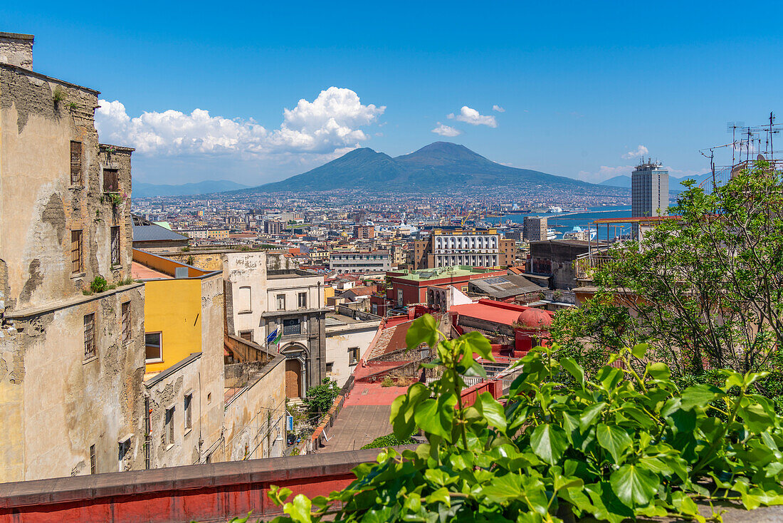 Elevated view of Naples and Mount Vesuvius in the background, Naples, Campania, Italy, Europe