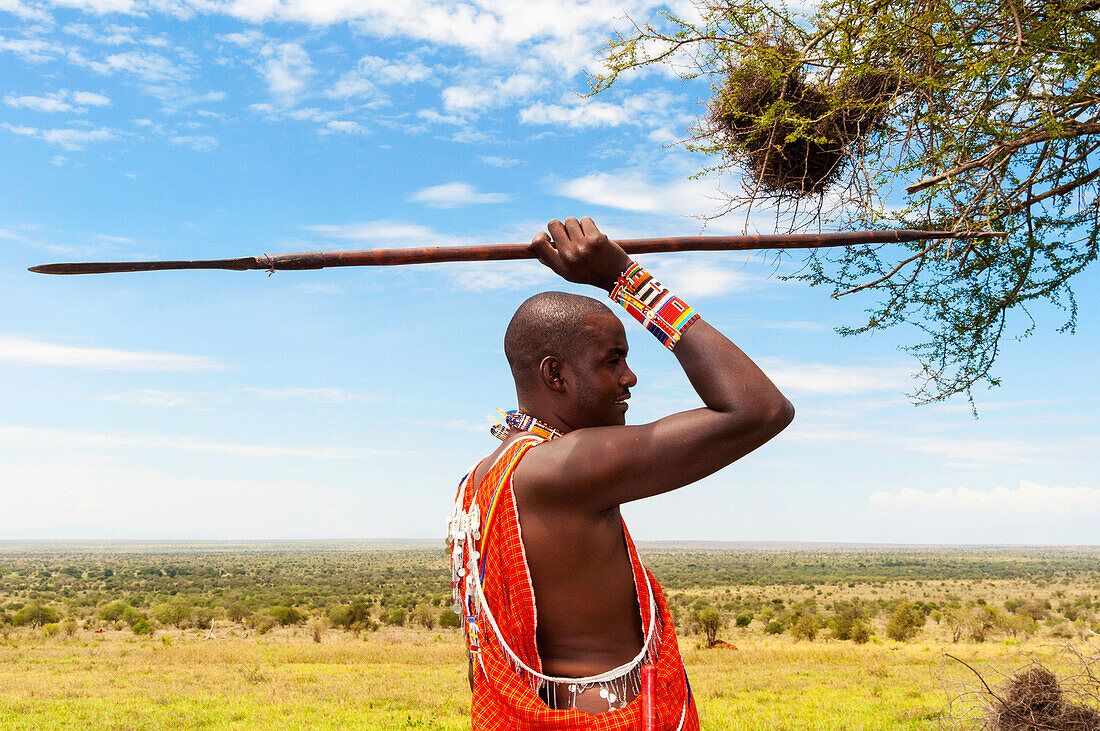 Massai mit Speer im Busch, Lualenyi-Ranch, Mwatate, Kenia, Ostafrika, Afrika