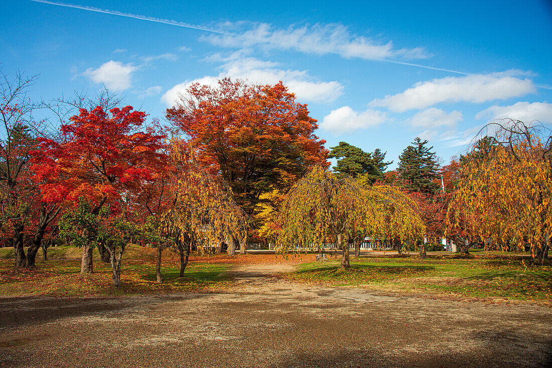 Kräftig orangefarbene und farbenfrohe Herbstbäume im Park von Schloss Hirosaki, Hirsaki, Honshu, Japan, Asien