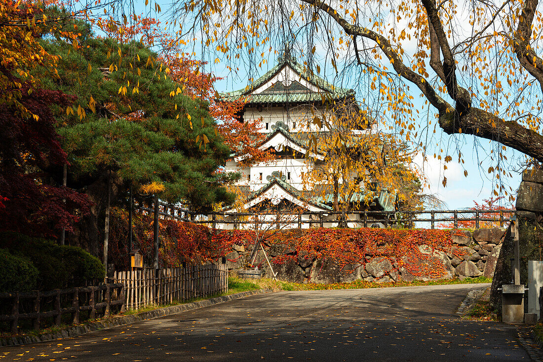 Buntes Herbstlaub und Blätter auf dem Weg zum Schloss Hirosaki, Hirosaki, Honshu, Japan, Asien