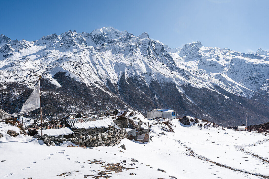 Steinhütte in einem Schneefeld vor einer hoch gelegenen Bergkette, Langtang Valley Trek, Himalaya, Nepal, Asien