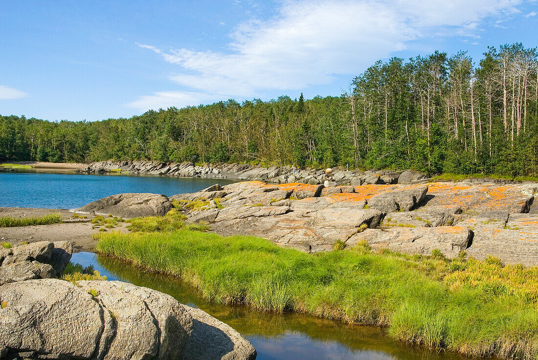 Saint-Lawrence River bank, Ile aux Lievres, Saint-Laurent river, Quebec province, Canada, North America