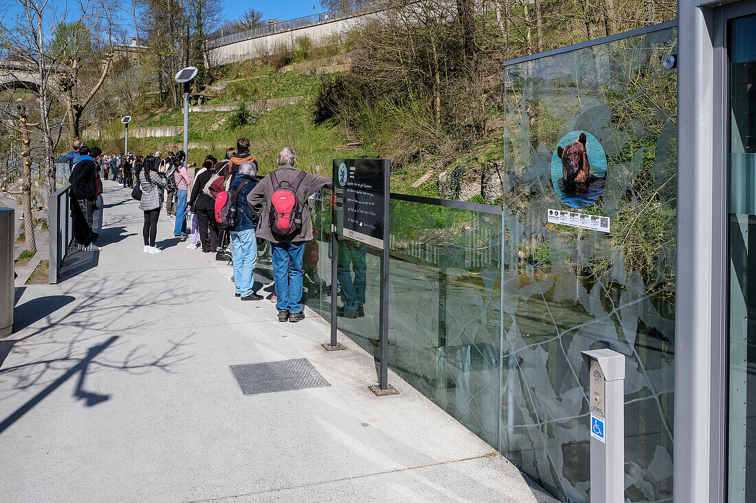 Blick auf den BarenPark, das Bärengehege am östlichen Rand der Altstadt, neben der Nydeggbrucke und der Aare, Bern, Schweiz, Europa