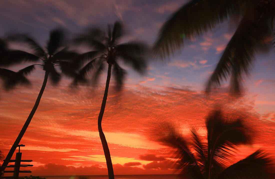 Palmen und Sonnenuntergang, Edgewater Resort, Rarotonga, Cookinseln, Südpazifik, Pazifik