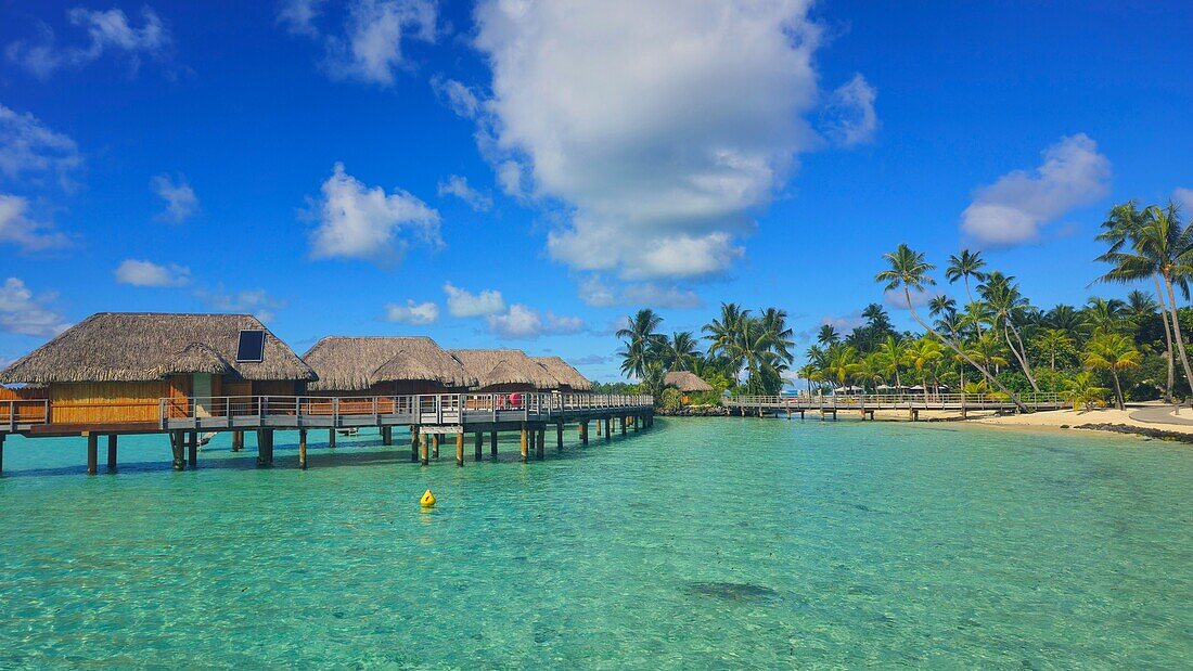 Le Bora Bora by Pearl Resort, Moto Tevairoa Bora Bora, French Polynesia, South Pacific, Pacific