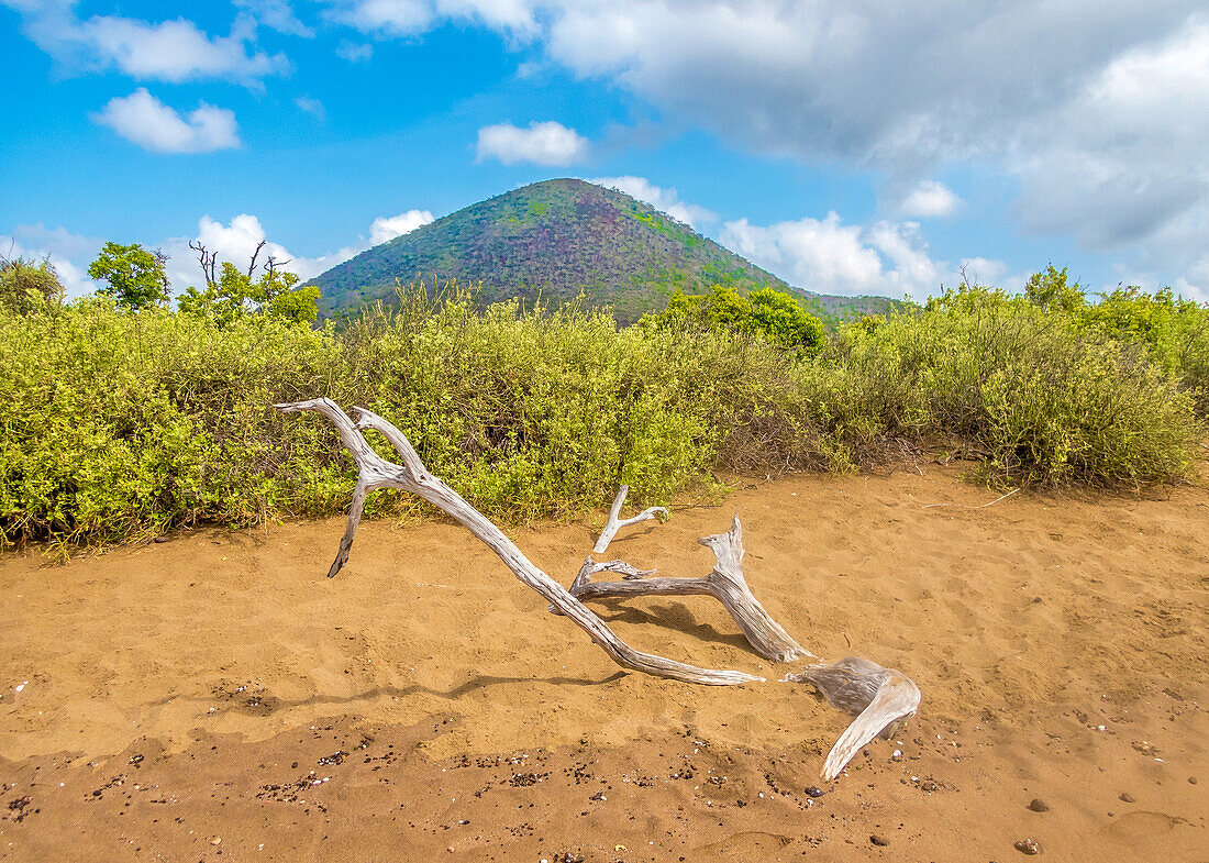 Champion Islet und Cormorant Point, Insel Floreana, Galapagos, UNESCO-Weltnaturerbe, Ecuador, Südamerika