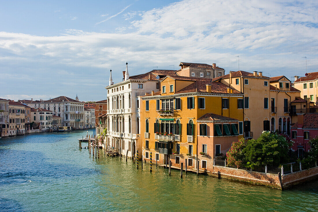 View of the Grand Canal from the Ponte de l'Accademia towards Ca Rezzonico, Venice, UNESCO World Heritage Site, Veneto, Italy, Europe