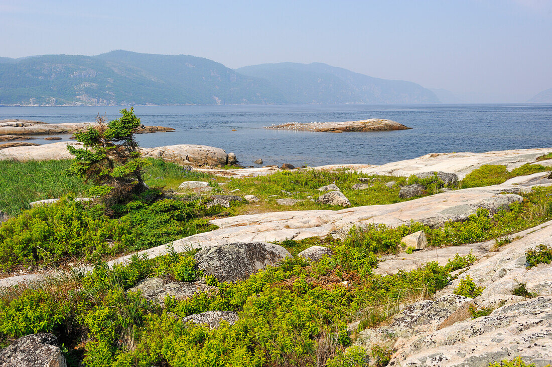 Saguenay River shore around Tadoussac, Cote-Nord region, Province of Quebec, Canada, North America