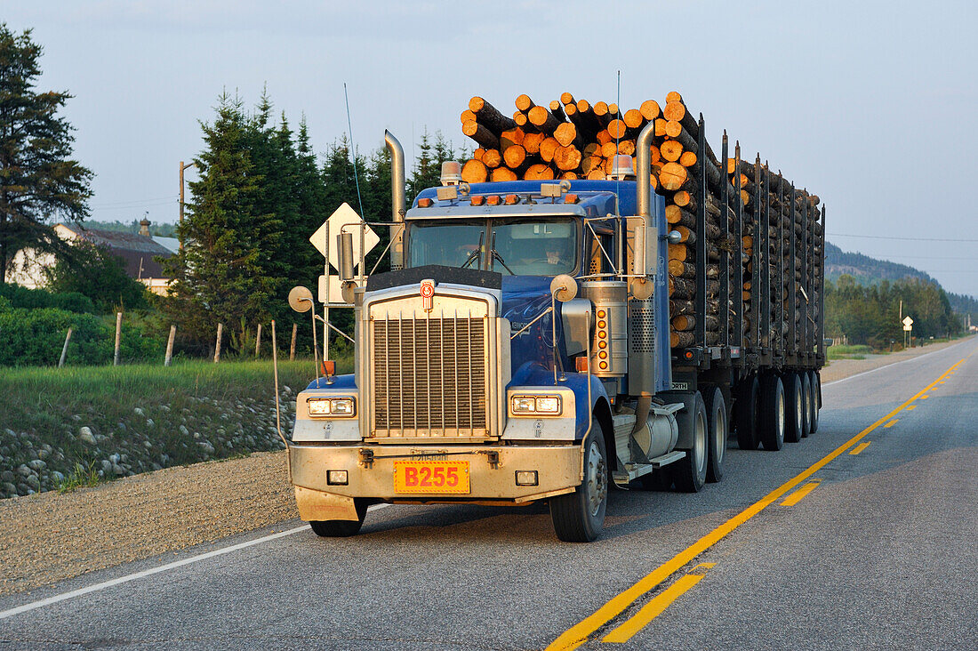 Lastwagen mit Baumstämmen, Provinz Quebec, Kanada, Nordamerika