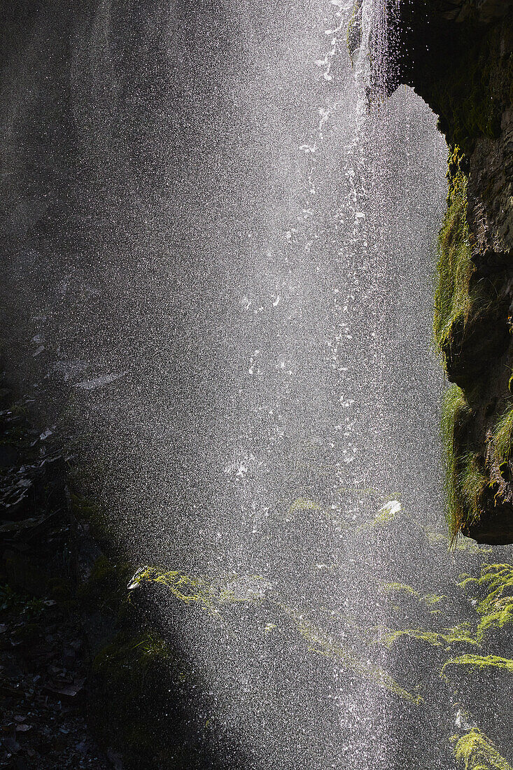 A waterfall backlit by the midday sun, in a gorge in Bossiney Haven, near Tintagel, Cornwall, England, United Kingdom, Europe