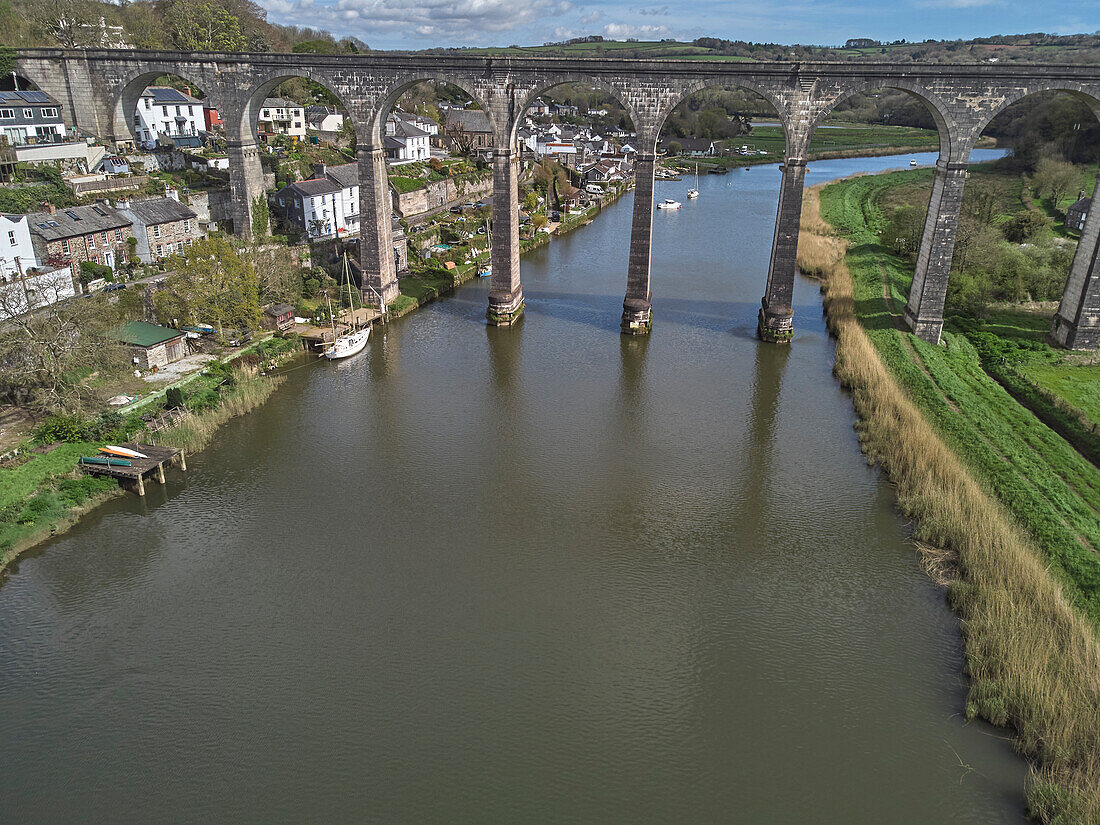 Blick auf den Fluss Tamar bei Calstock mit einem Eisenbahnviadukt über den Fluss, an der Grenze zwischen Devon und Cornwall, Cornwall, England, Vereinigtes Königreich, Europa