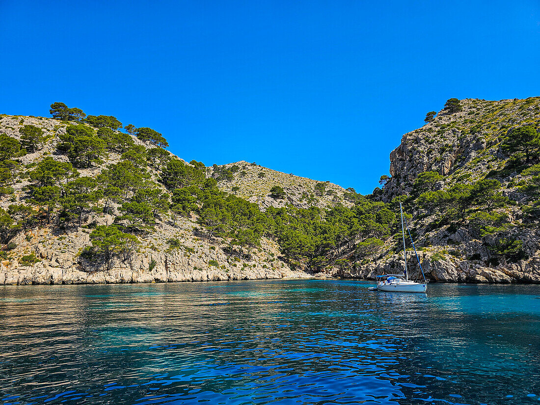 Formentor-Halbinsel, Mallorca, Balearen, Spanien, Mittelmeer, Europa