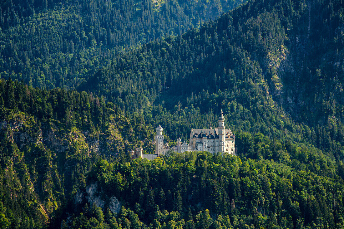 Neuschwanstein historisches Märchenschloss auf dem Berg mit Bäumen ringsum, Schwangau, Bayern, Deutschland, Europa