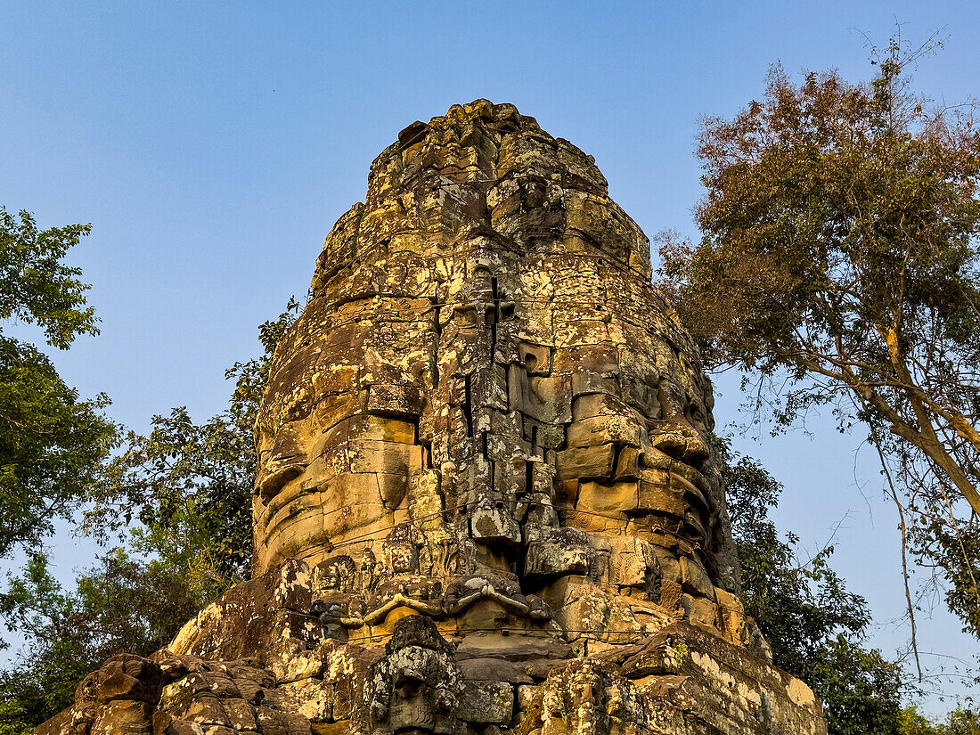 Ta Prohm Tempel, ein buddhistisches Mahayana-Kloster, erbaut im späten 12. Jahrhundert für den Khmer-König Jayavarman VII, Angkor, UNESCO-Welterbe, Kambodscha, Indochina, Südostasien, Asien