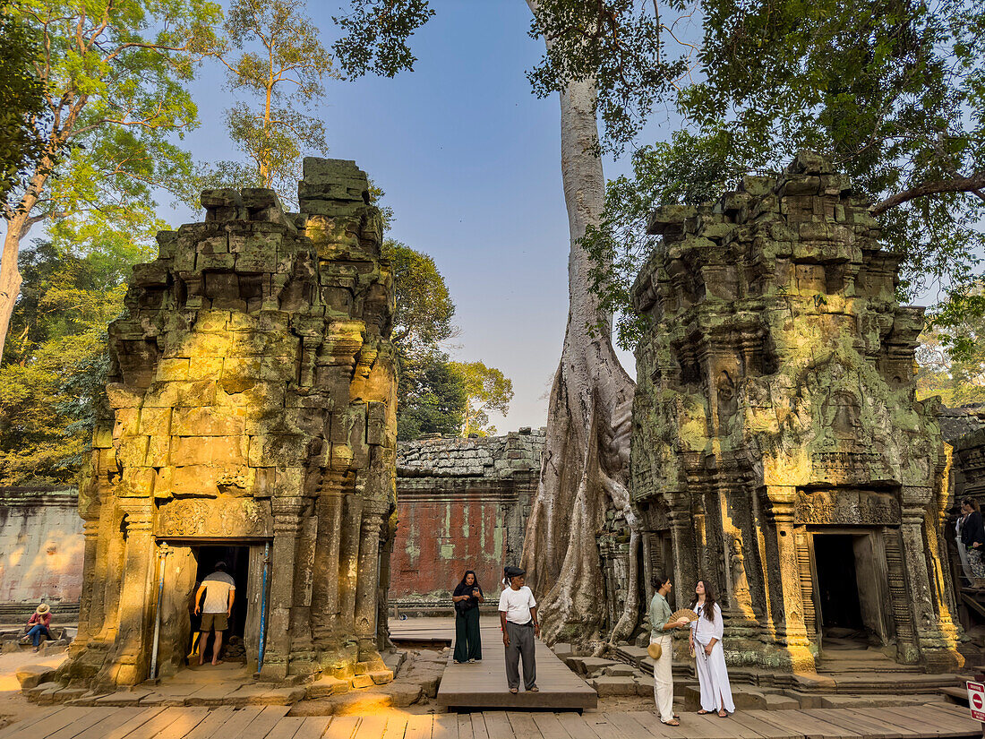 Ta Prohm Temple, a Mahayana Buddhist monastery built in the late 12th century for Khmer king Jayavarman VII, Angkor, UNESCO World Heritage Site, Cambodia, Indochina, Southeast Asia, Asia