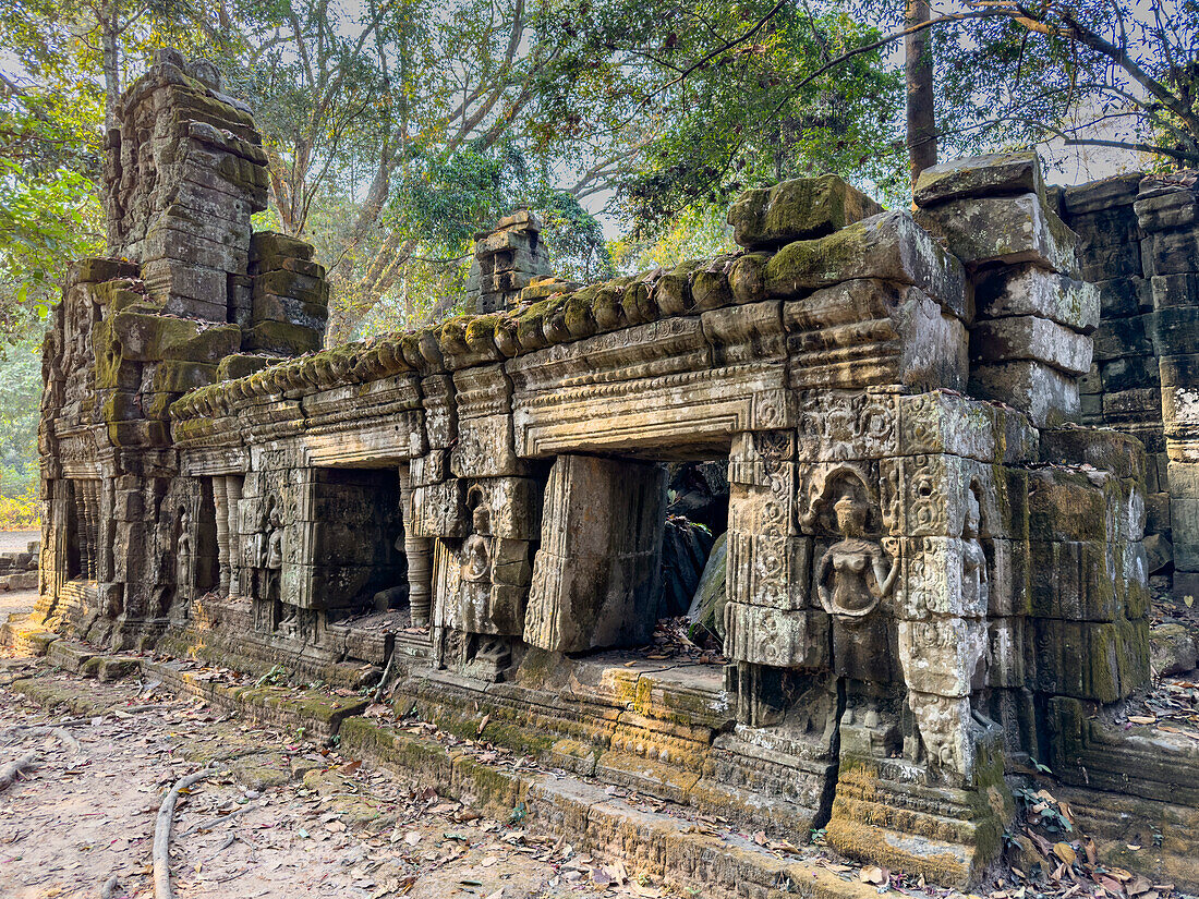 Ta Prohm-Tempel, ein buddhistisches Mahayana-Kloster, erbaut im späten 12. Jahrhundert für den Khmer-König Jayavarman VII, Angkor, UNESCO-Welterbe, Kambodscha, Indochina, Südostasien, Asien